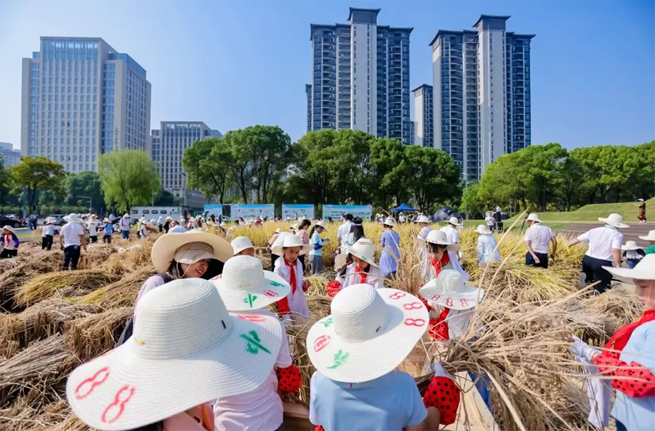 九洲公園舉辦“南昌城里有點田”秋收體驗活動 青少年體驗農耕文化 九洲公園舉辦“南昌城里有點田”秋收體驗活動 青少年體驗農耕文化